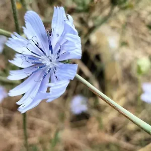 Hébergement de vacances Longere Bretagne, Réminiac
